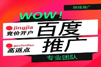 百度竞价与搜索引擎优化（SEO）结合的经典案例